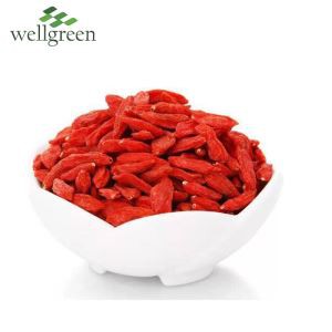 Goji Berry ekstrè poud