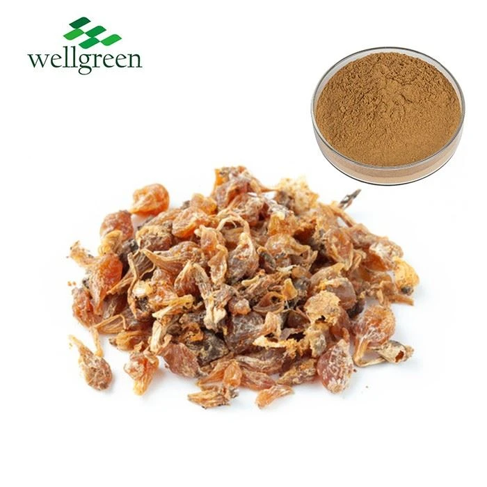 Bulbus Allii Macrostemi Extract