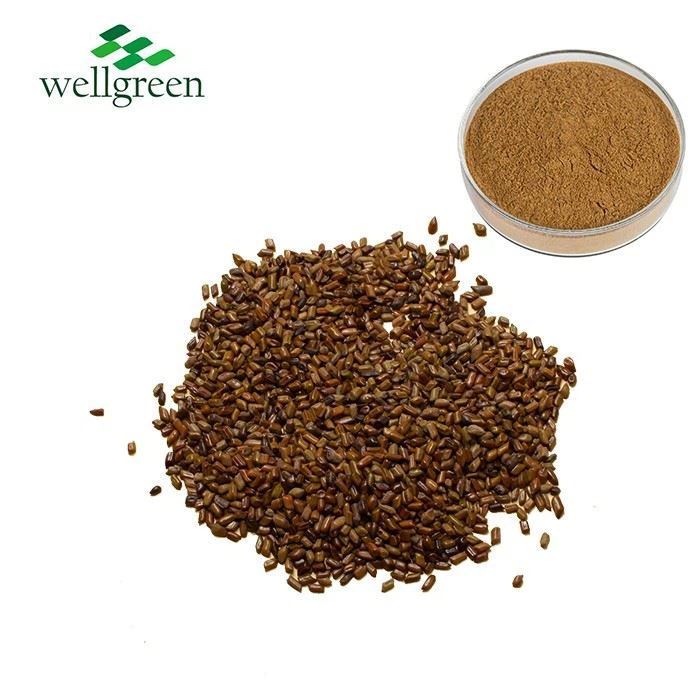 Cassia Seed Extract Powder