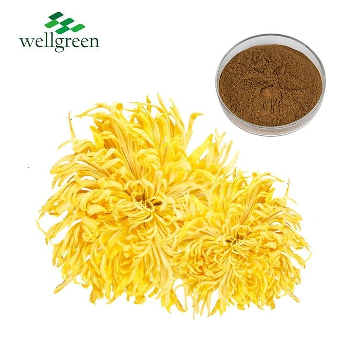Chrysanthemum Extract