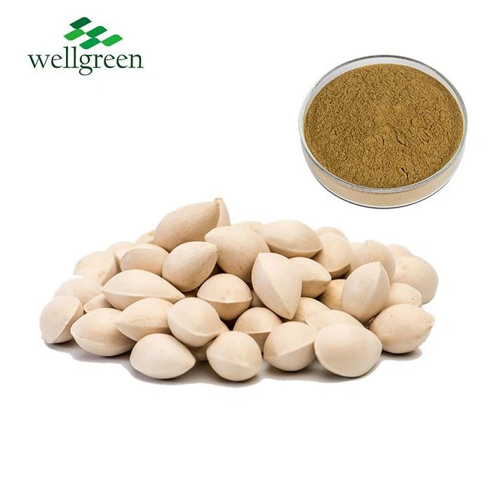 Ginkgo Seed Extract