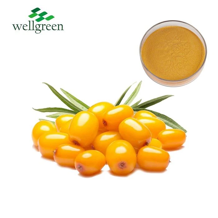 Sea Buckthorn Fruit Powder
