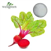 Betaine anidrid poud