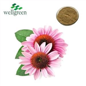 Echinacea ekstrè poud