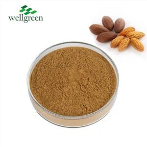 Ekstrè Grenn Grand Torreya