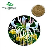 Honeysuckle ekstrè poud