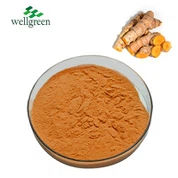 Curcuma Longa Rasin Powder