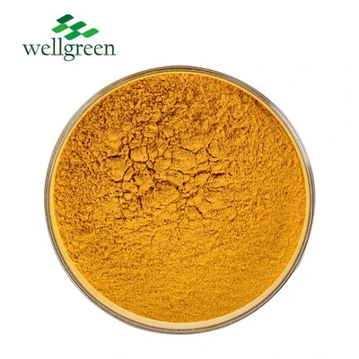 Kurkumin lipozomal
